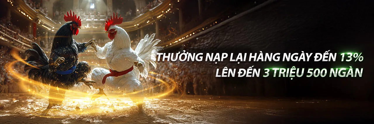 Khuyến mãi DG88 App 2026